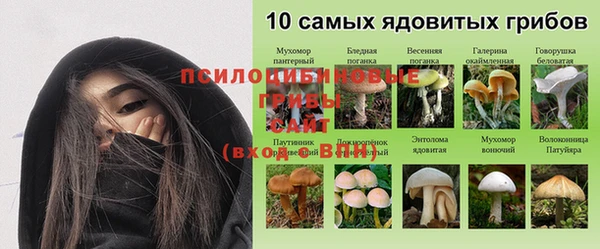 гидропоника Алексеевка