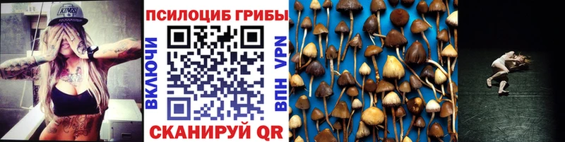 MEGA ссылка  Старая Русса  Галлюциногенные грибы Psilocybine cubensis 
