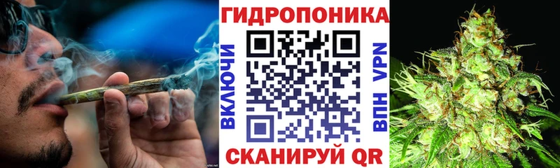 Бошки марихуана сатива  мега ССЫЛКА  Старая Русса  цена наркотик 